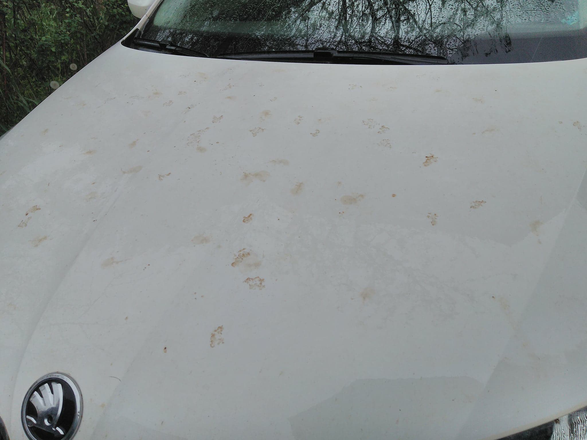 Nor de praf saharian deasupra vestului României