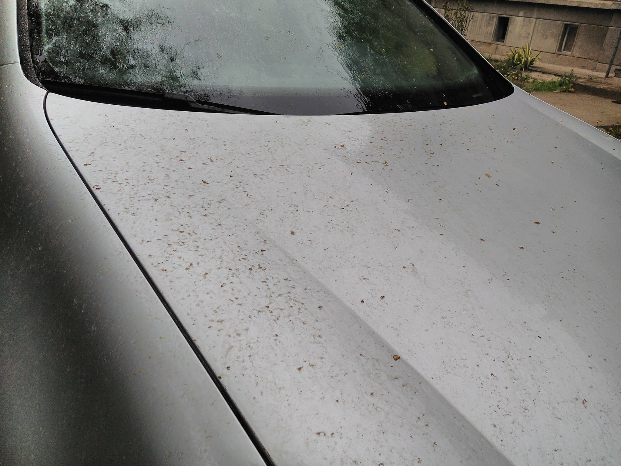 Nor de praf saharian deasupra vestului României