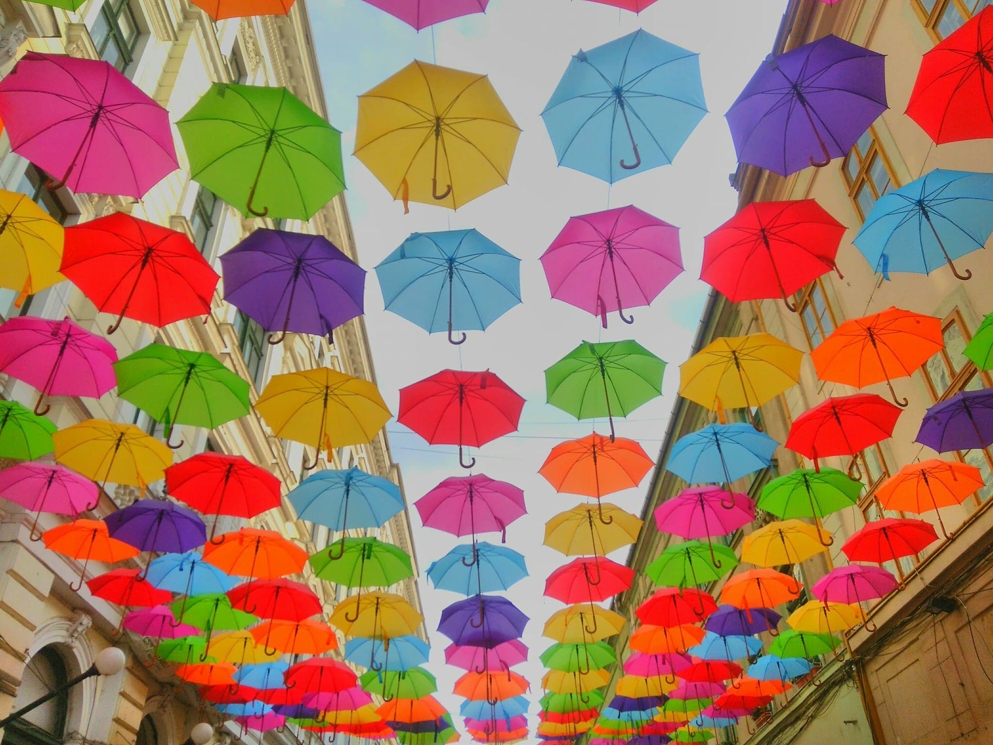 Umbrele în culori vii în centrul Timişoarei