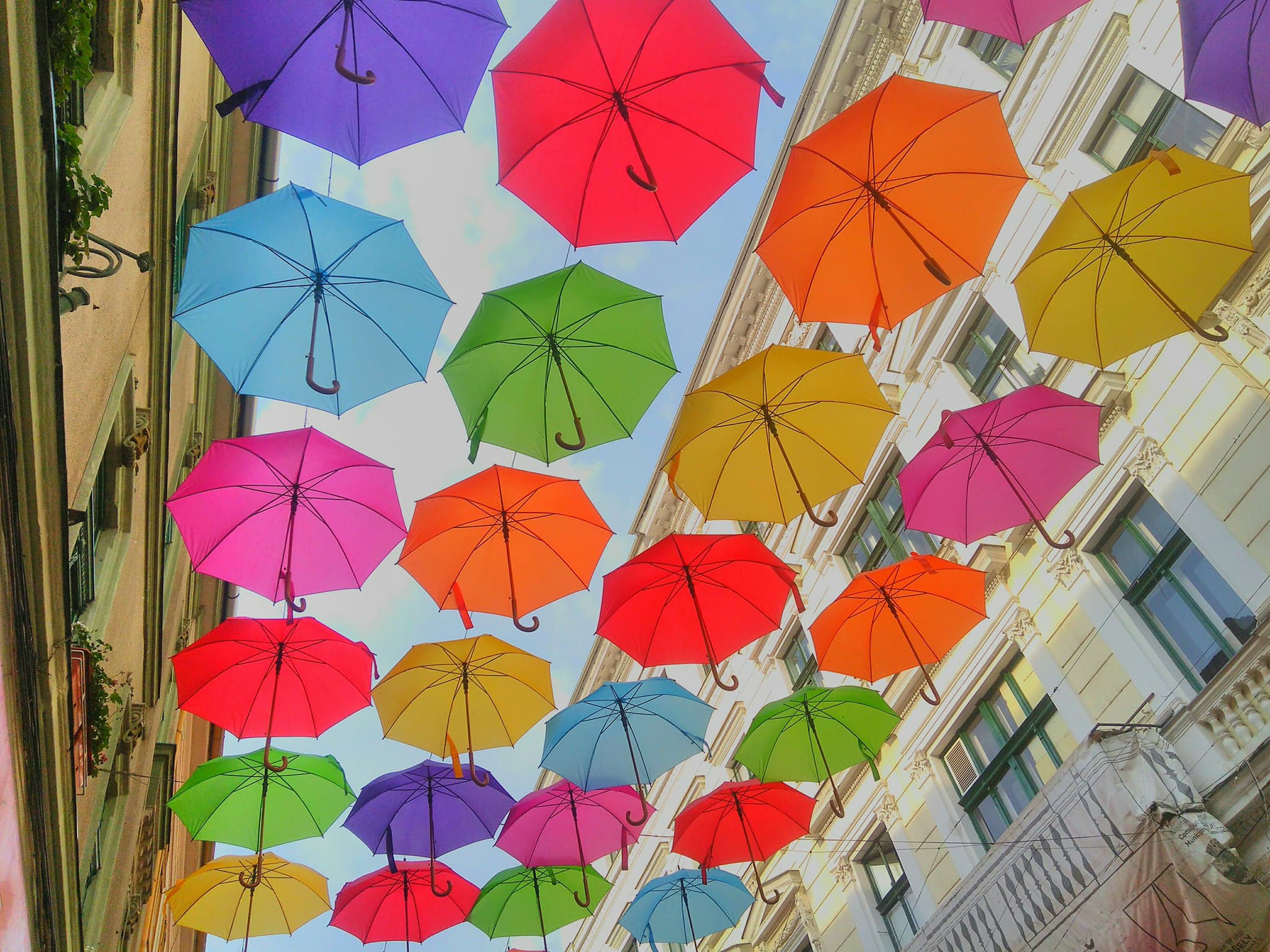 Umbrele în culori vii în centrul Timişoarei