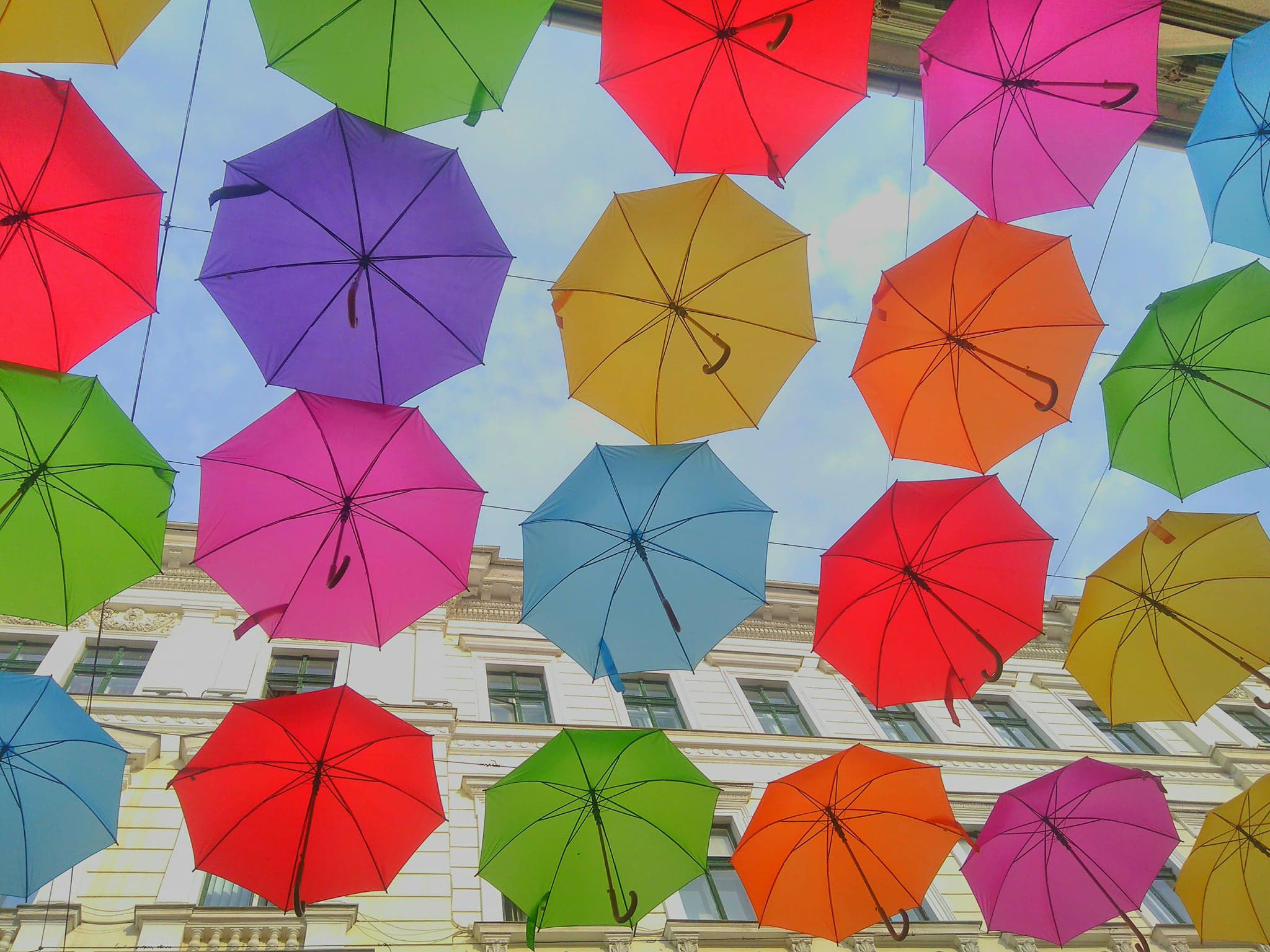 Umbrele în culori vii în centrul Timişoarei