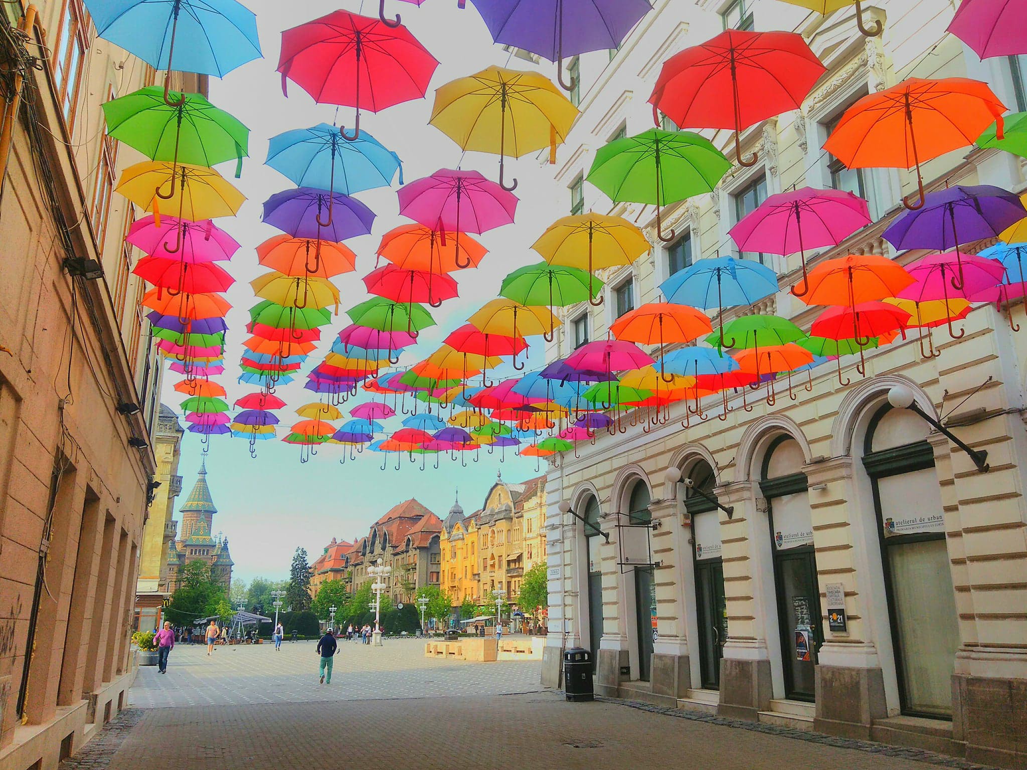 Umbrele în culori vii în centrul Timişoarei