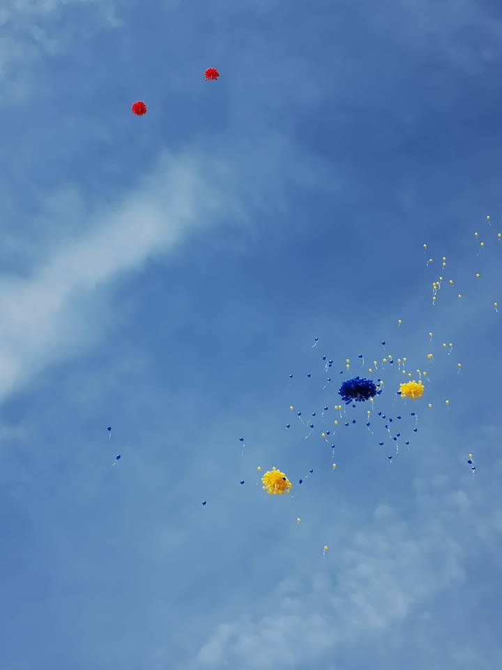 Ziua tricolorului la Cluj Napoca