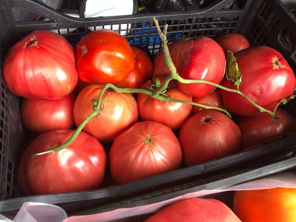 Roşie gigant în Olt