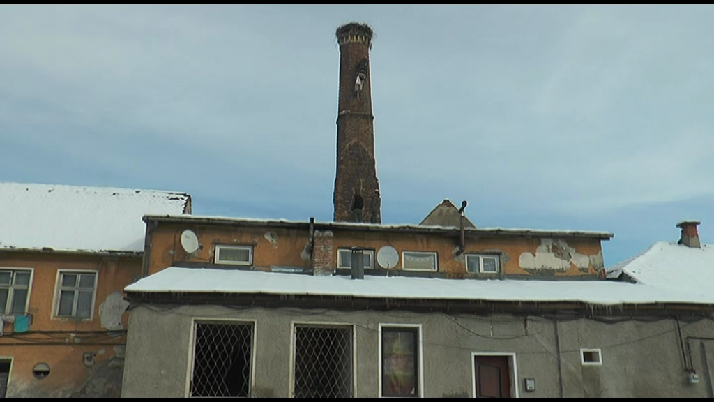 Barză rămasă în Braşov peste iarnă